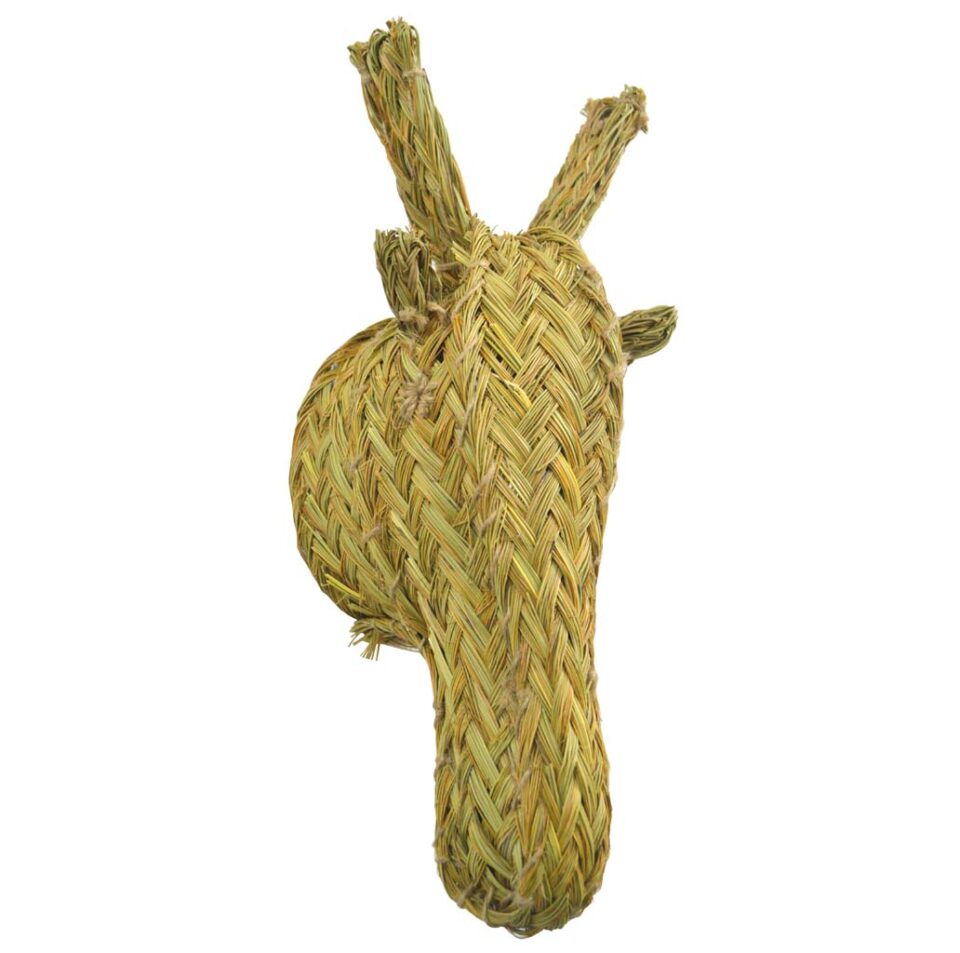 Cabeza jirafa esparto