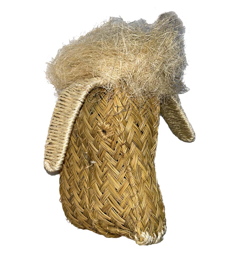 Cabeza oveja esparto